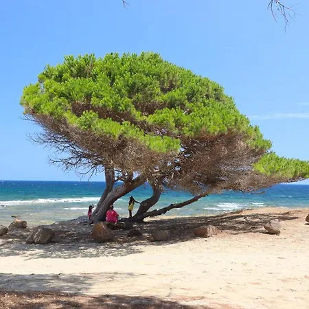 Casa Vacanze Sa Petra Ruia Vakantiehuis Santa Lucia (Sardinia)