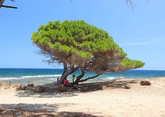 Casa Vacanze Sa Petra Ruia Tatil Evi Santa Lucia (Sardinia)